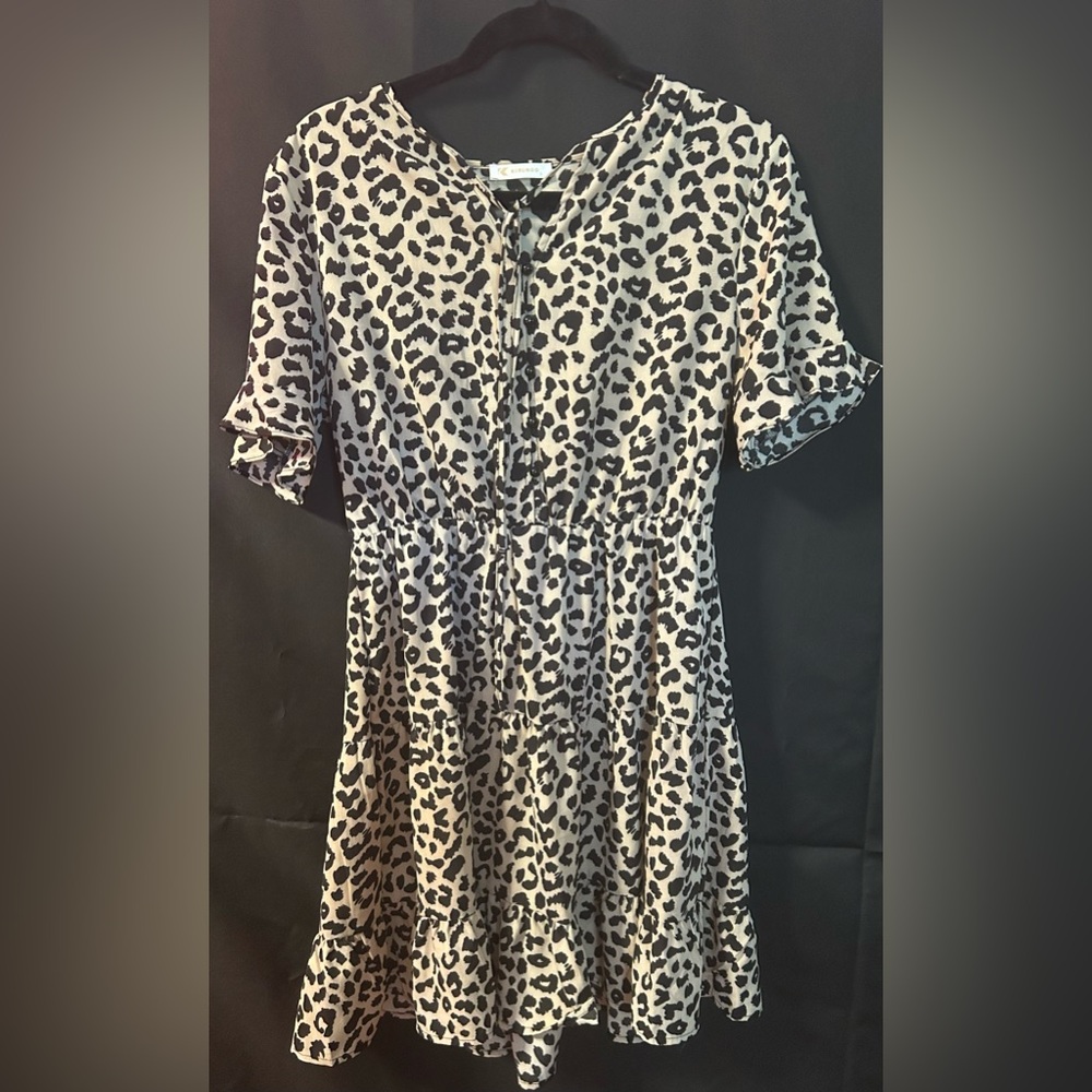 Leopard Print Dress
